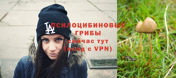 гашик Алзамай