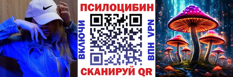 Псилоцибиновые грибы Psilocybine cubensis  где можно купить наркотик  Каргат 